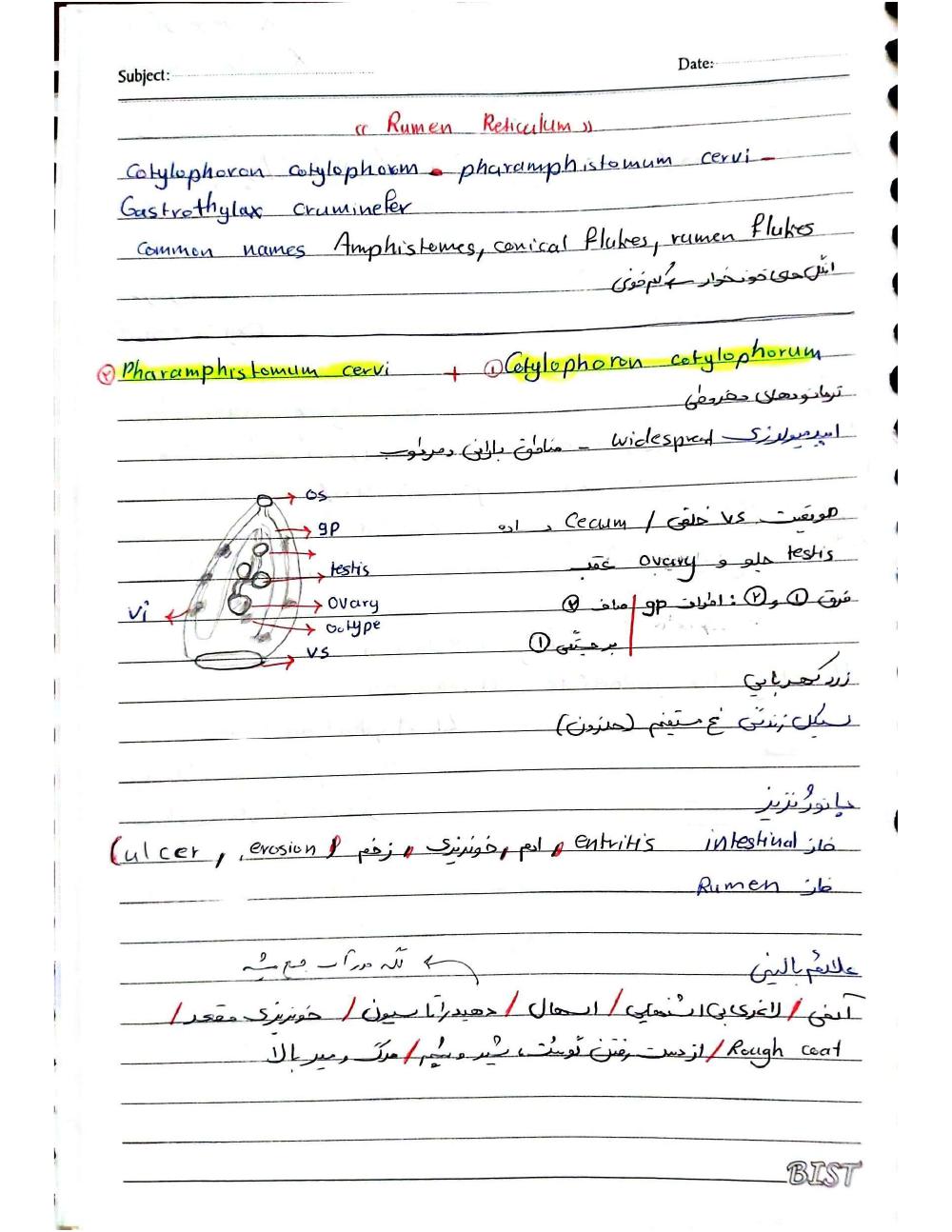 فهرست جزوه ترماتود (رشته دامپزشکی)