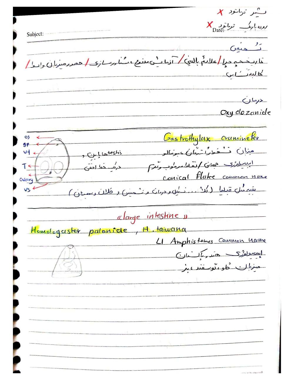 دانلود رایگان جزوه ترماتود (رشته دامپزشکی)