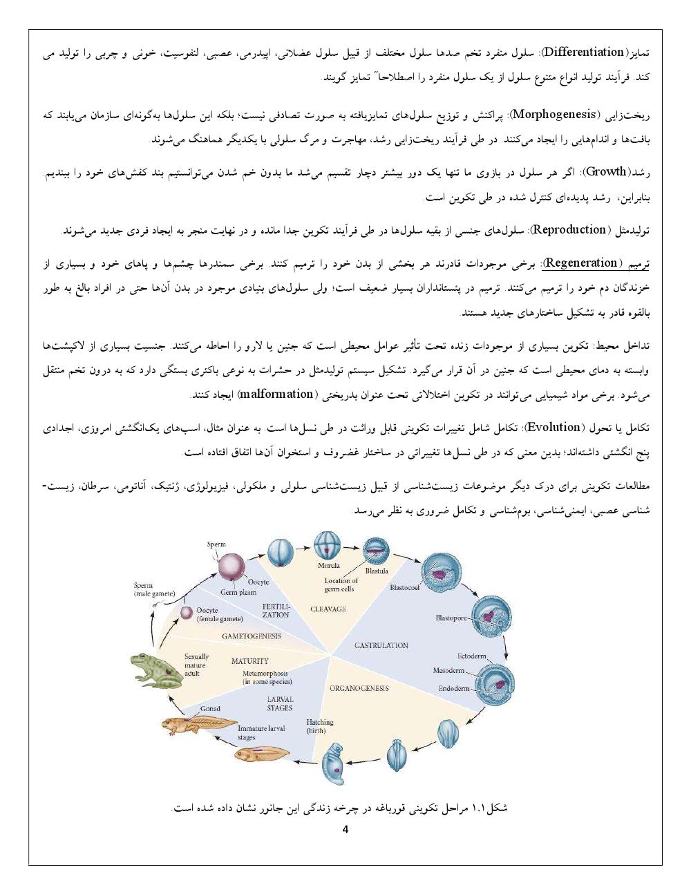 دانلود رایگان جزوه زیست شناسی تکوینی